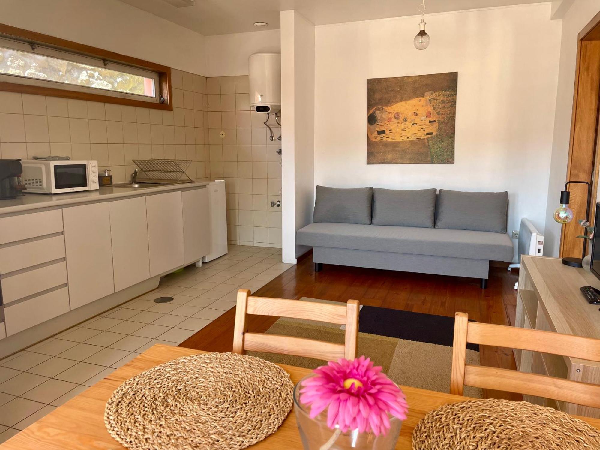 Douro River Charming Flats OOporto Extérieur photo